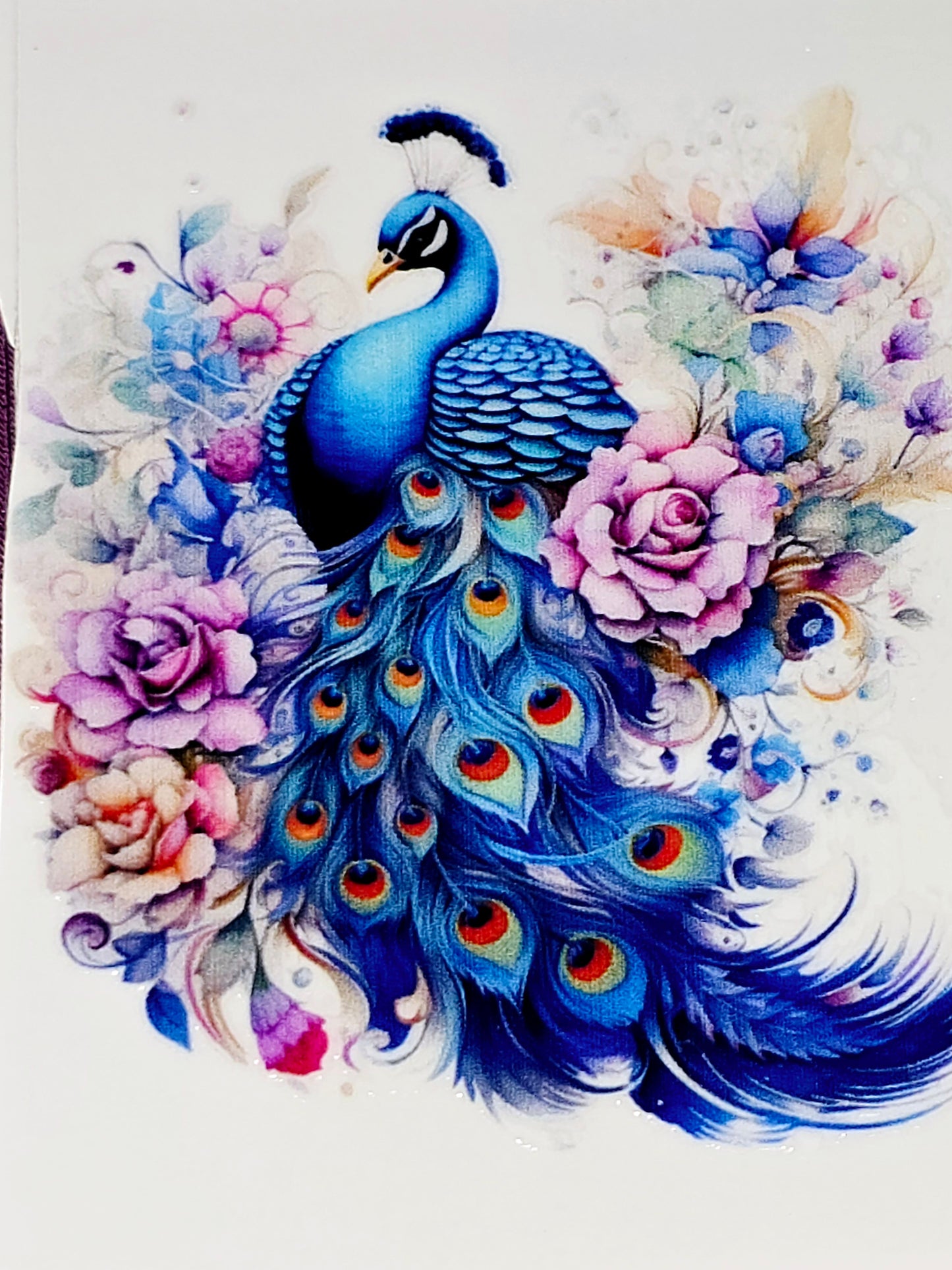 Peacock clear UV DTF