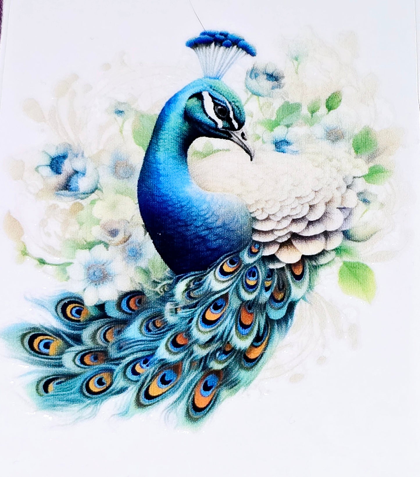 Peacock clear UV DTF