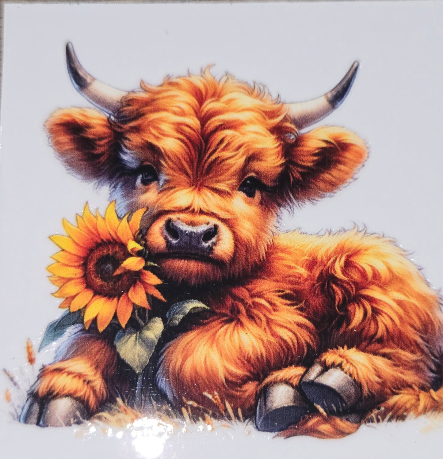 Sunflower fluffy cow medium clear UV DTF decal
