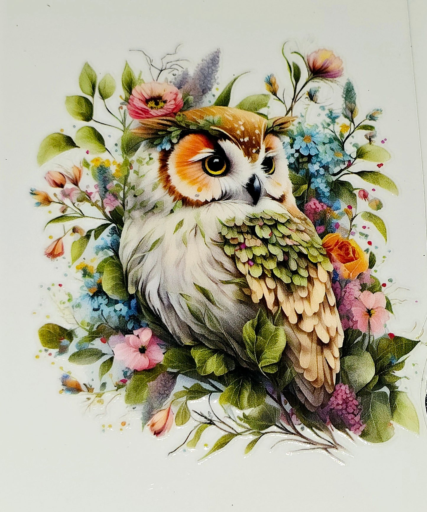 Owls medium clear UV DTF