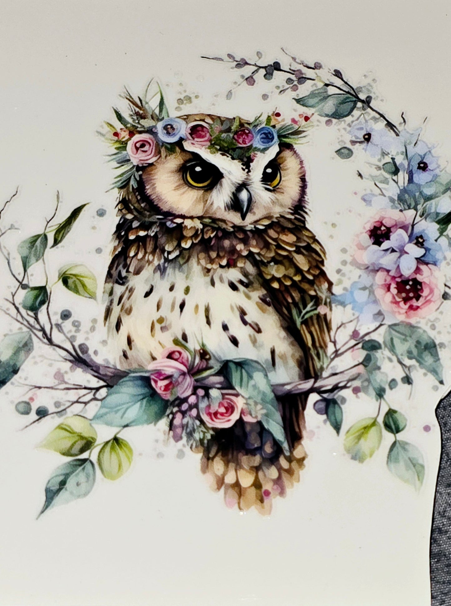 Owls medium clear UV DTF