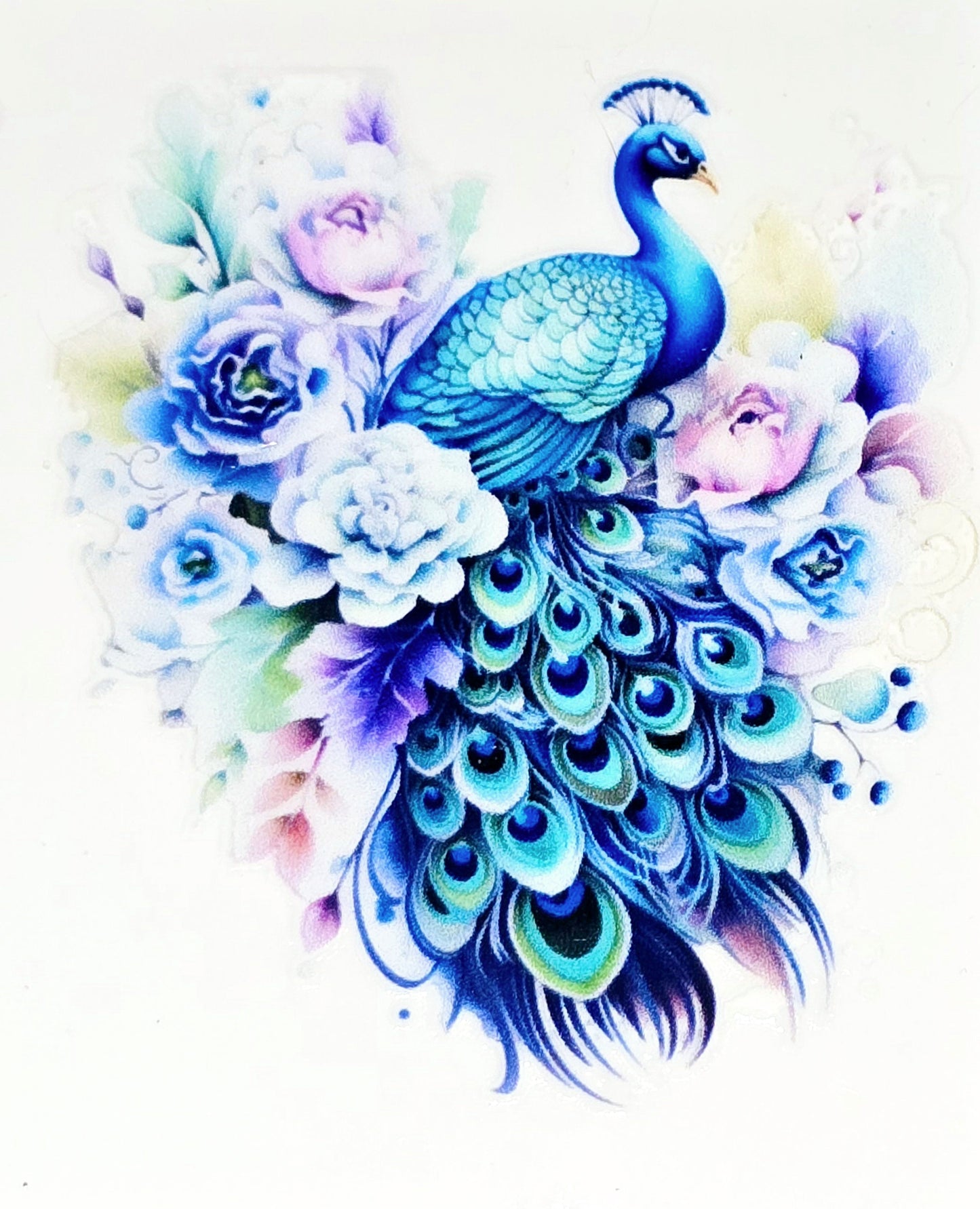 Peacock clear UV DTF