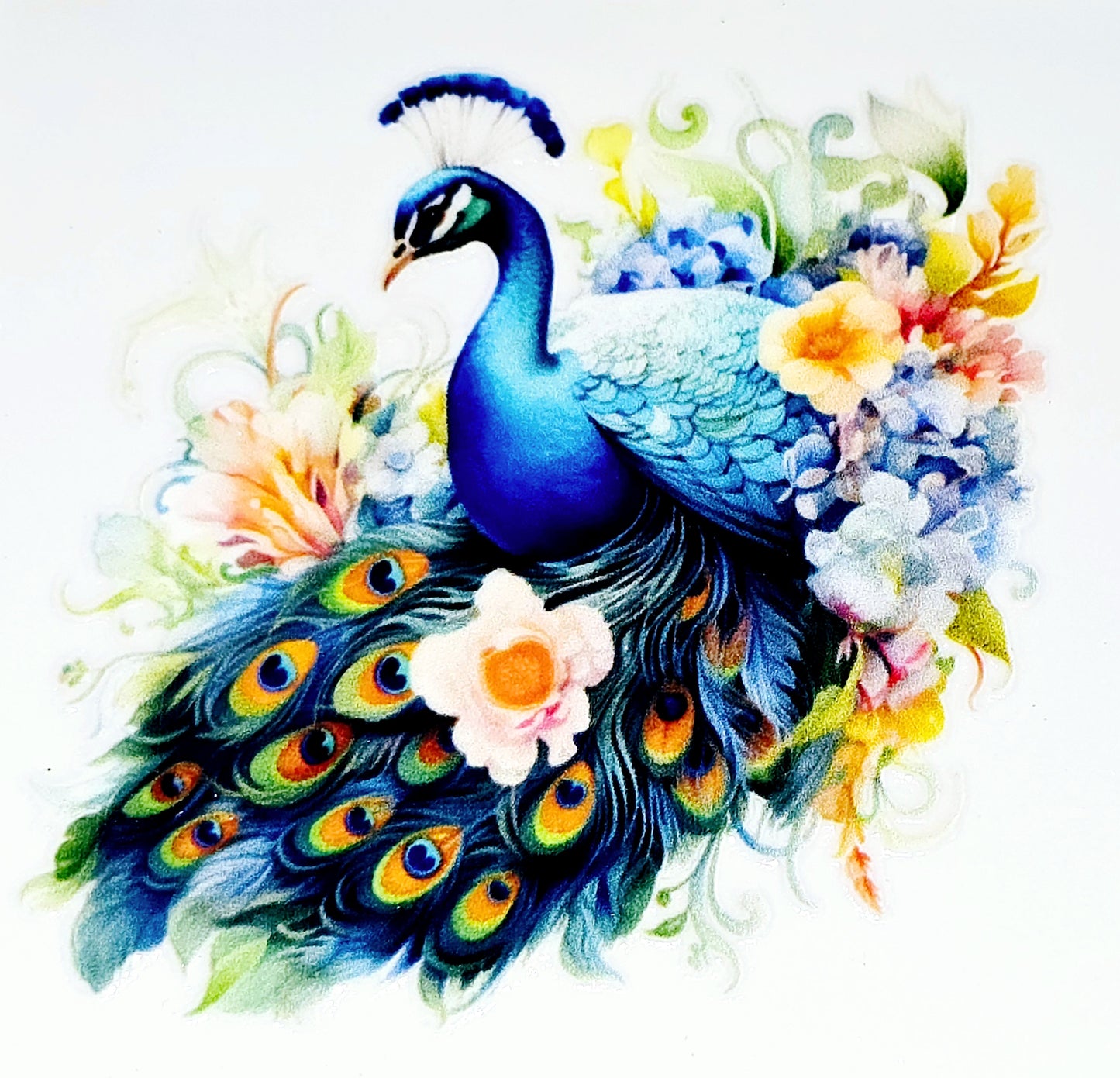 Peacock clear UV DTF