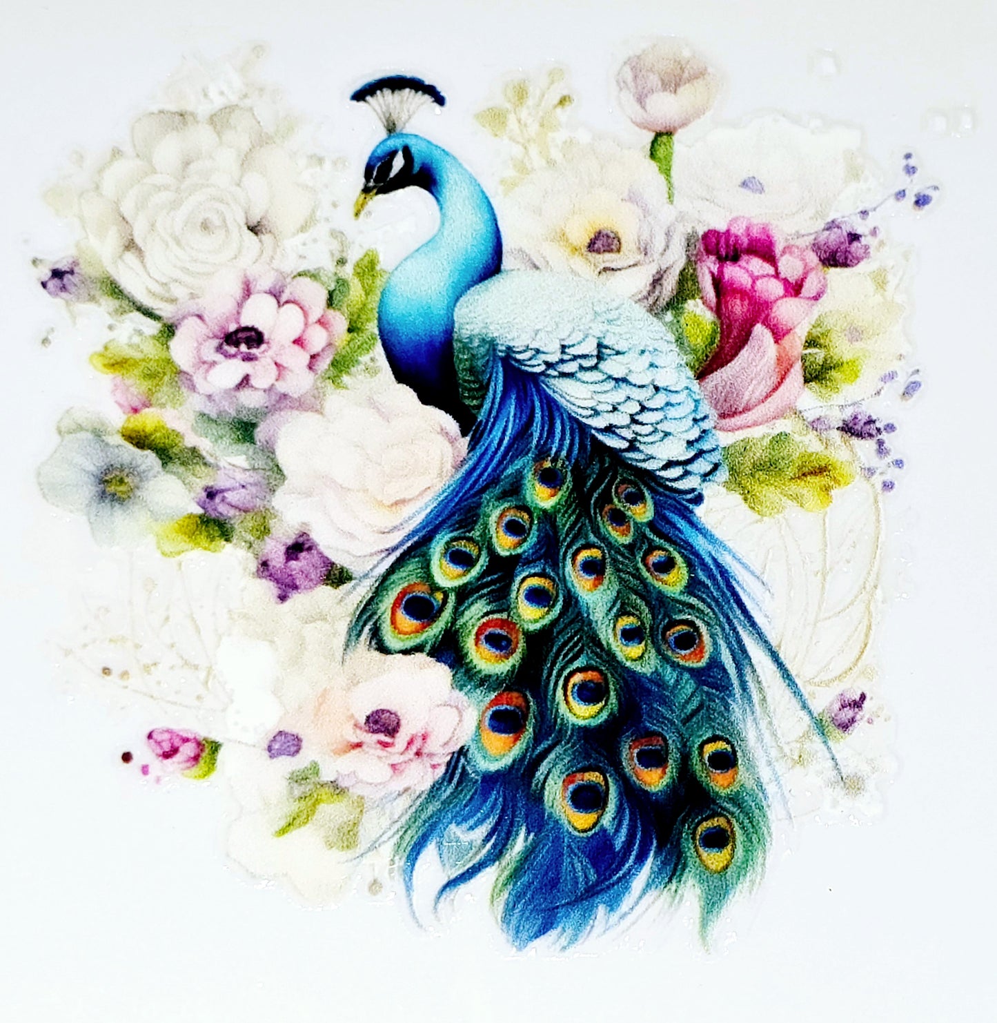 Peacock clear UV DTF