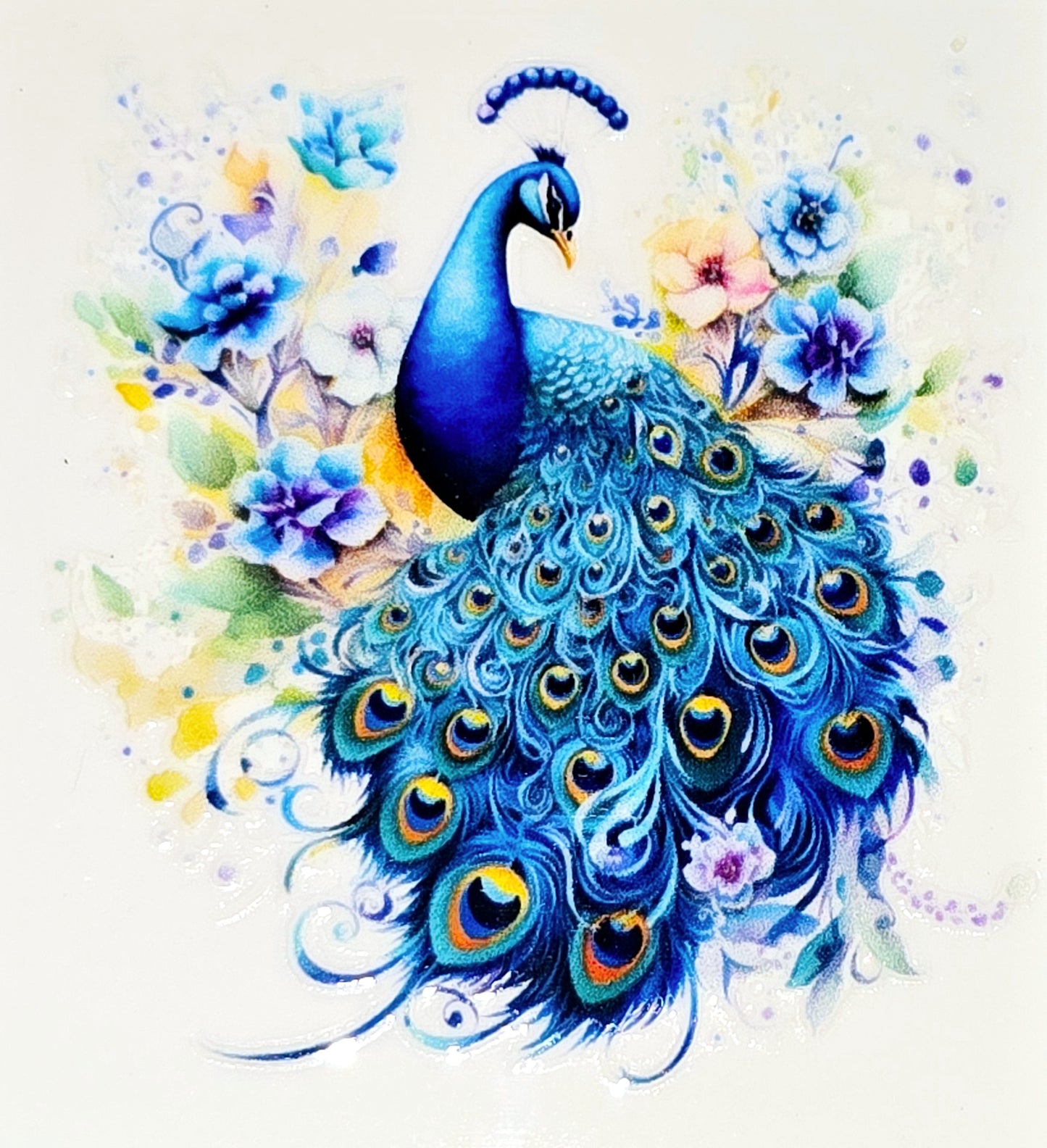 Peacock clear UV DTF