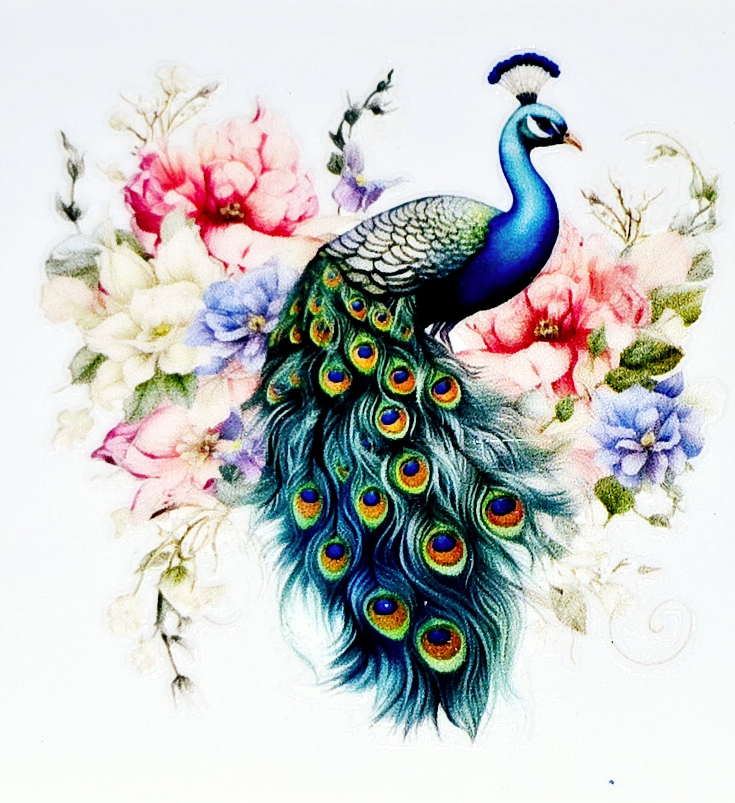 Peacock clear UV DTF