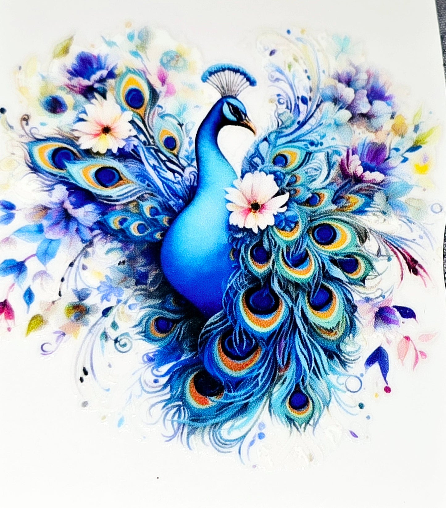Peacock clear UV DTF