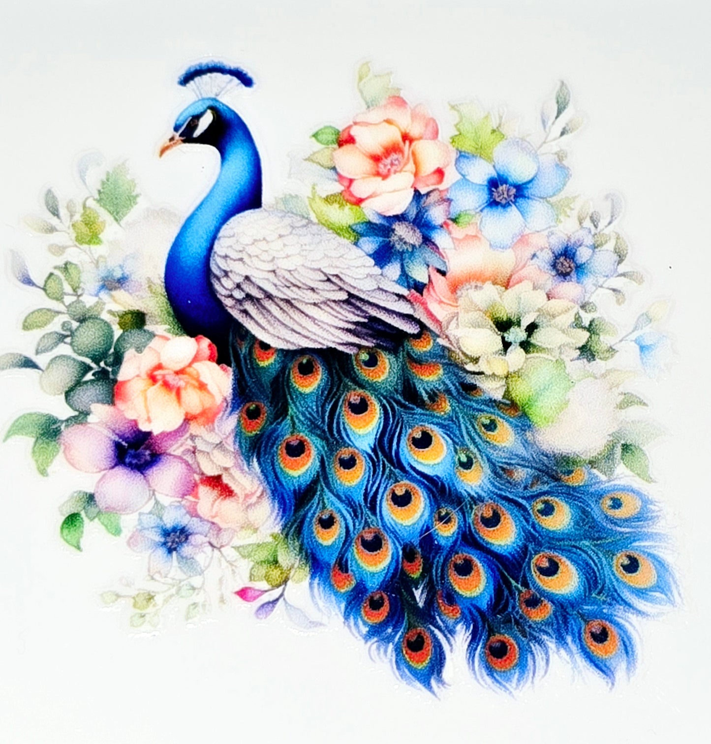 Peacock clear UV DTF