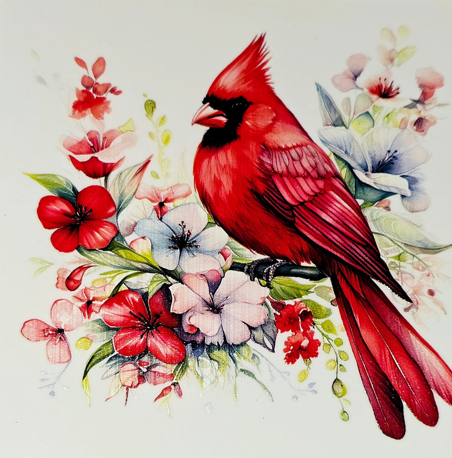 Cardinals clear UV DTF