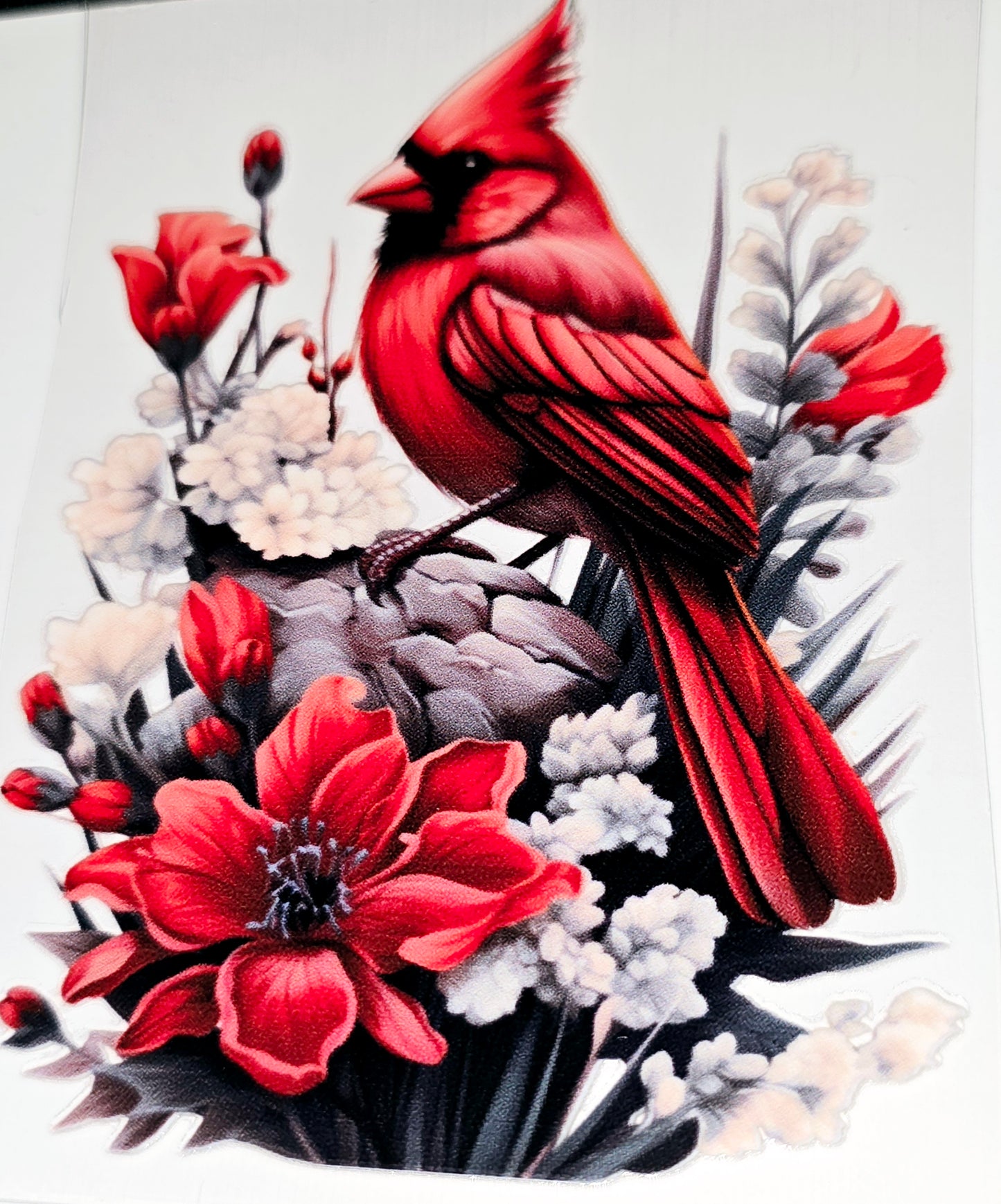Cardinal beauty large clear UVDTF
