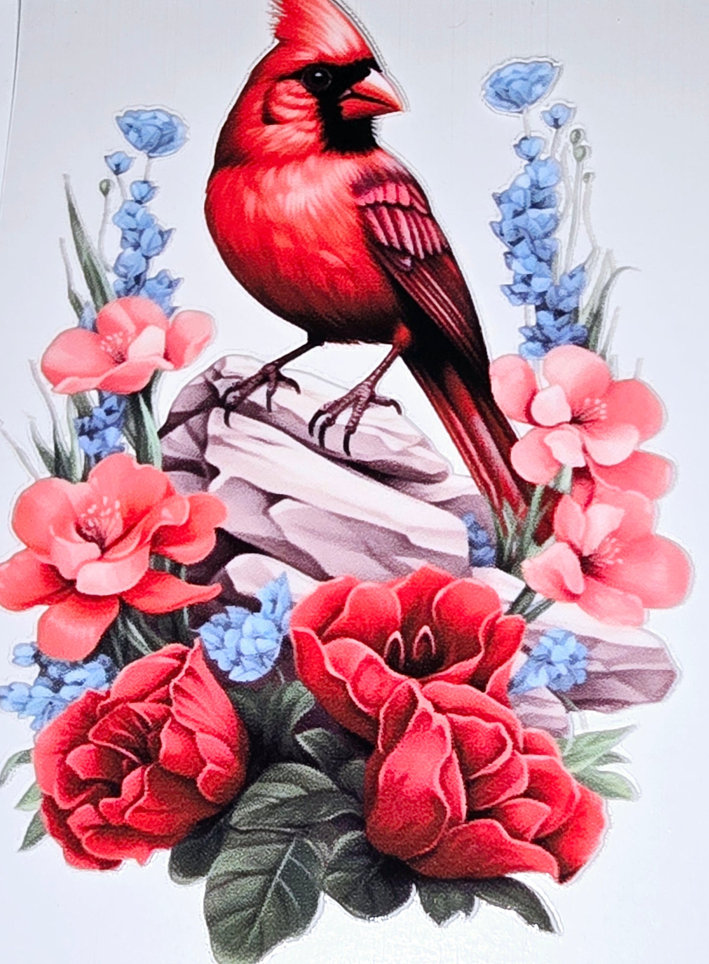 Cardinal beauty large clear UVDTF