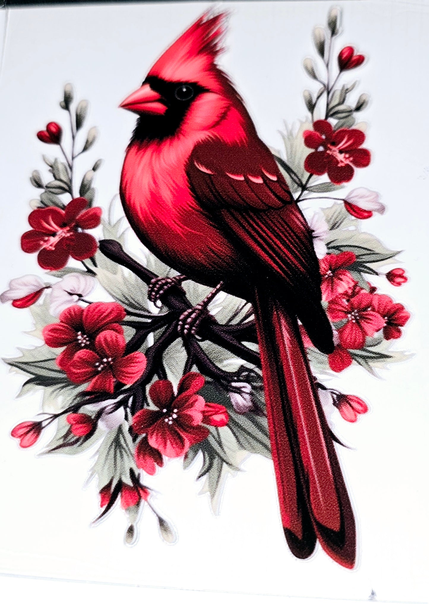 Cardinal beauty large clear UVDTF