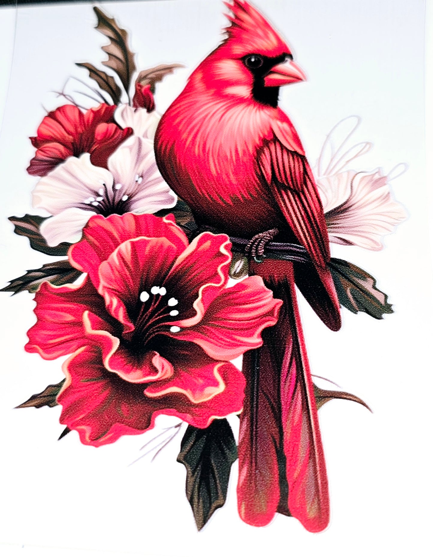 Cardinal beauty large clear UVDTF