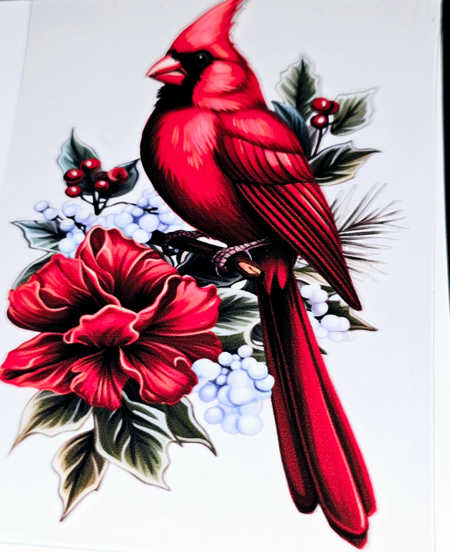 Cardinal beauty large clear UVDTF