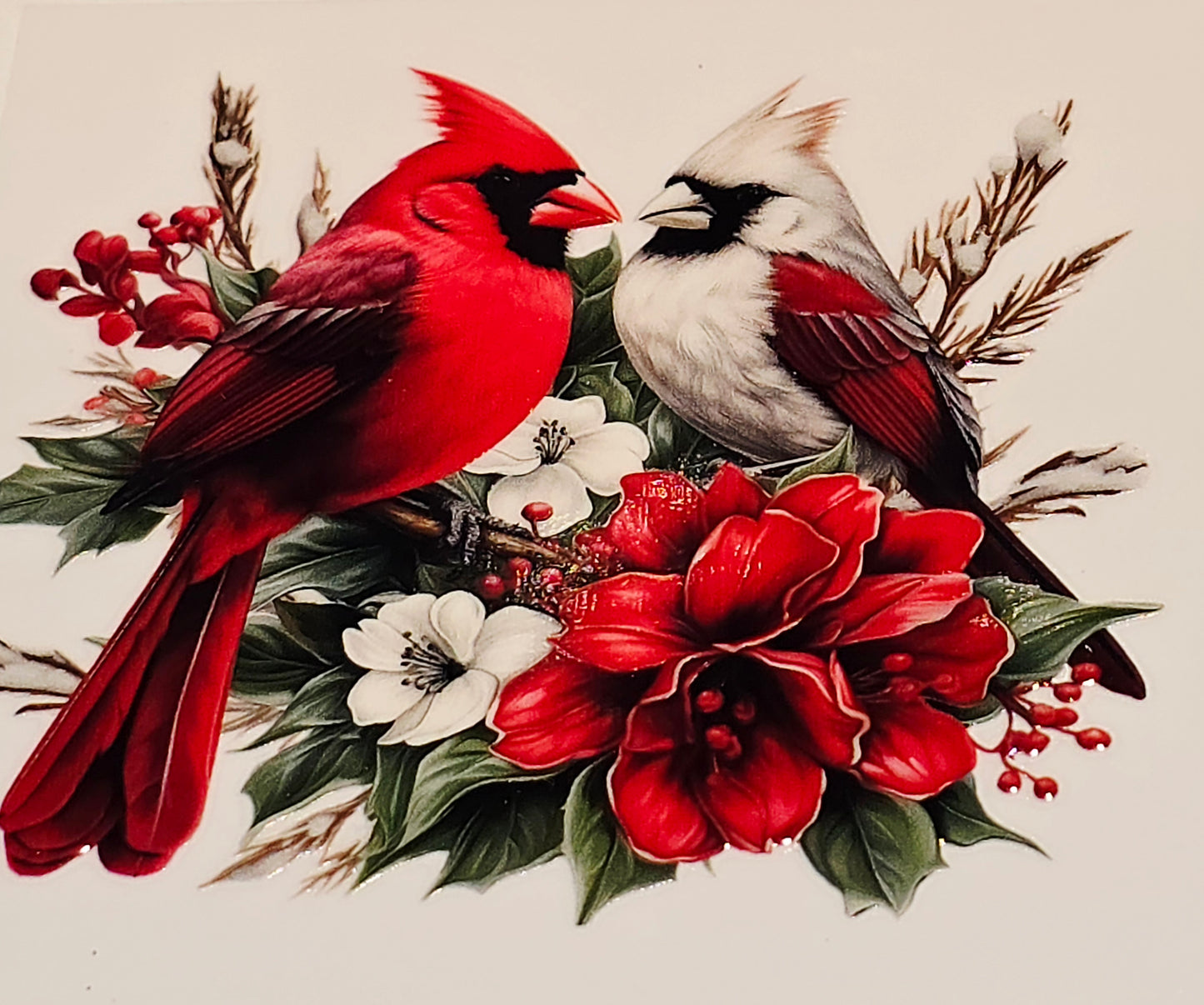 M29 medium Cardinals uvdtf