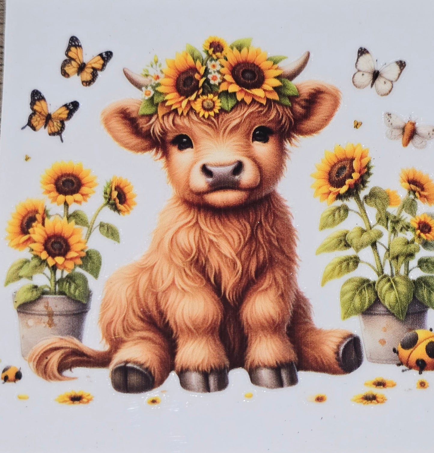 Sunflower fluffy cow medium clear UV DTF decal