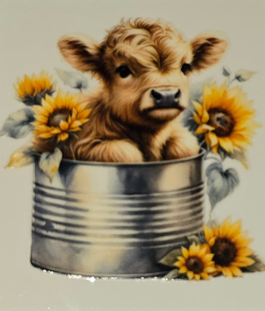 M23 Sunflower fluffy cow medium clear UV DTF decal