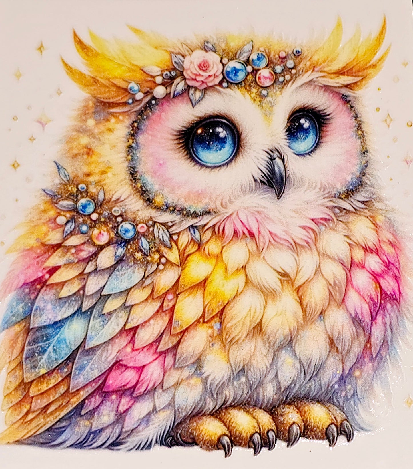 Owls medium clear UV DTF