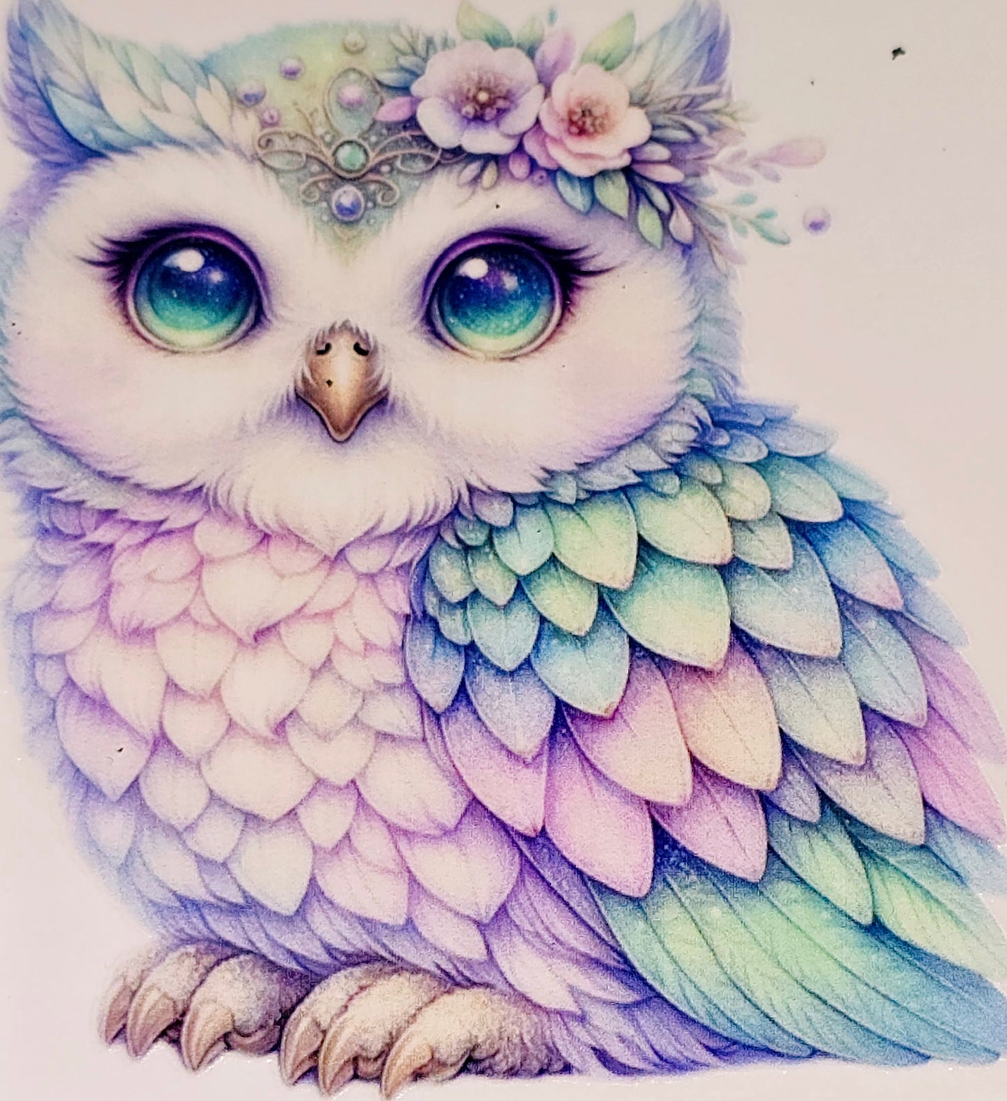 Owls medium clear UV DTF
