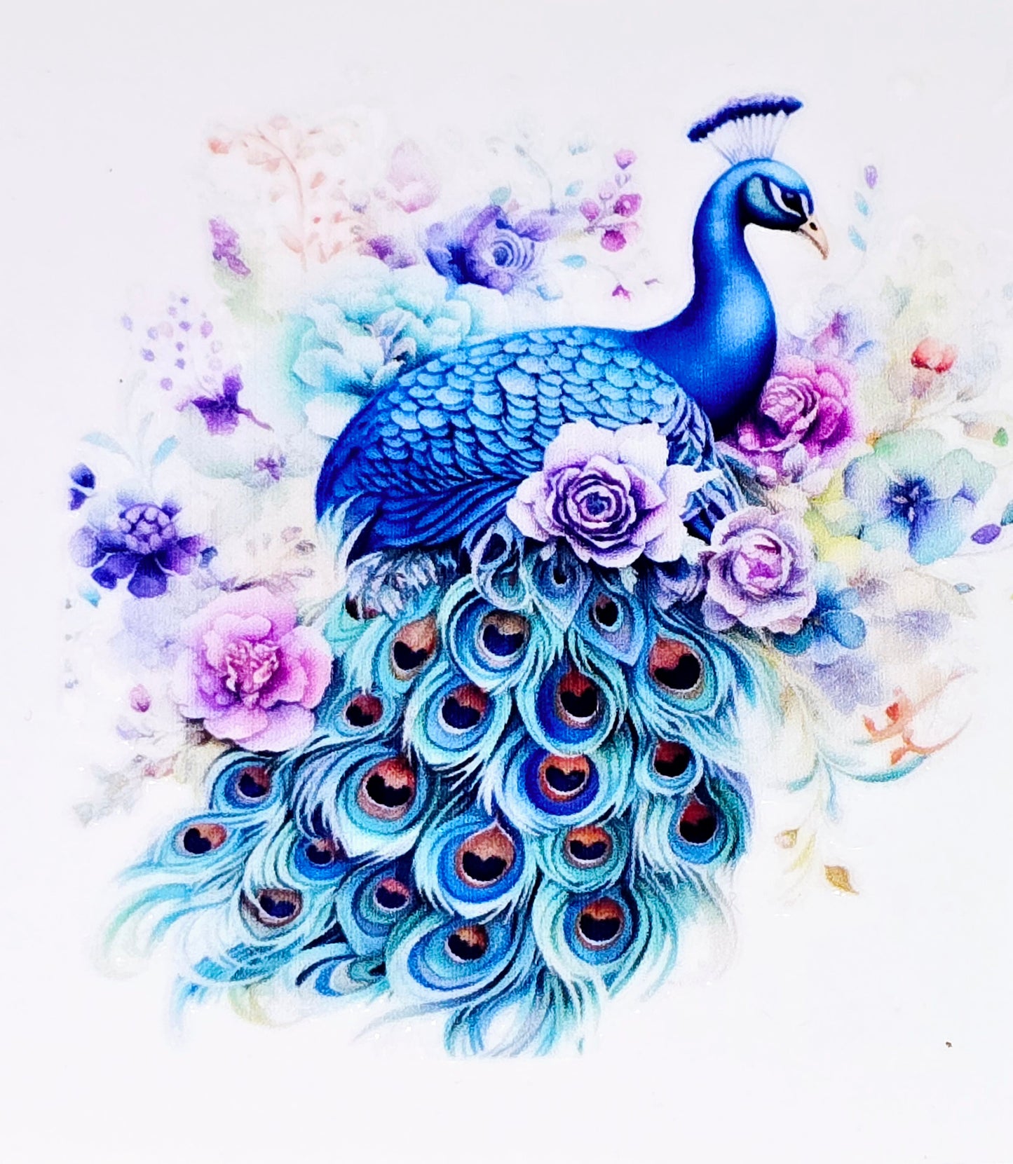Peacock clear UV DTF