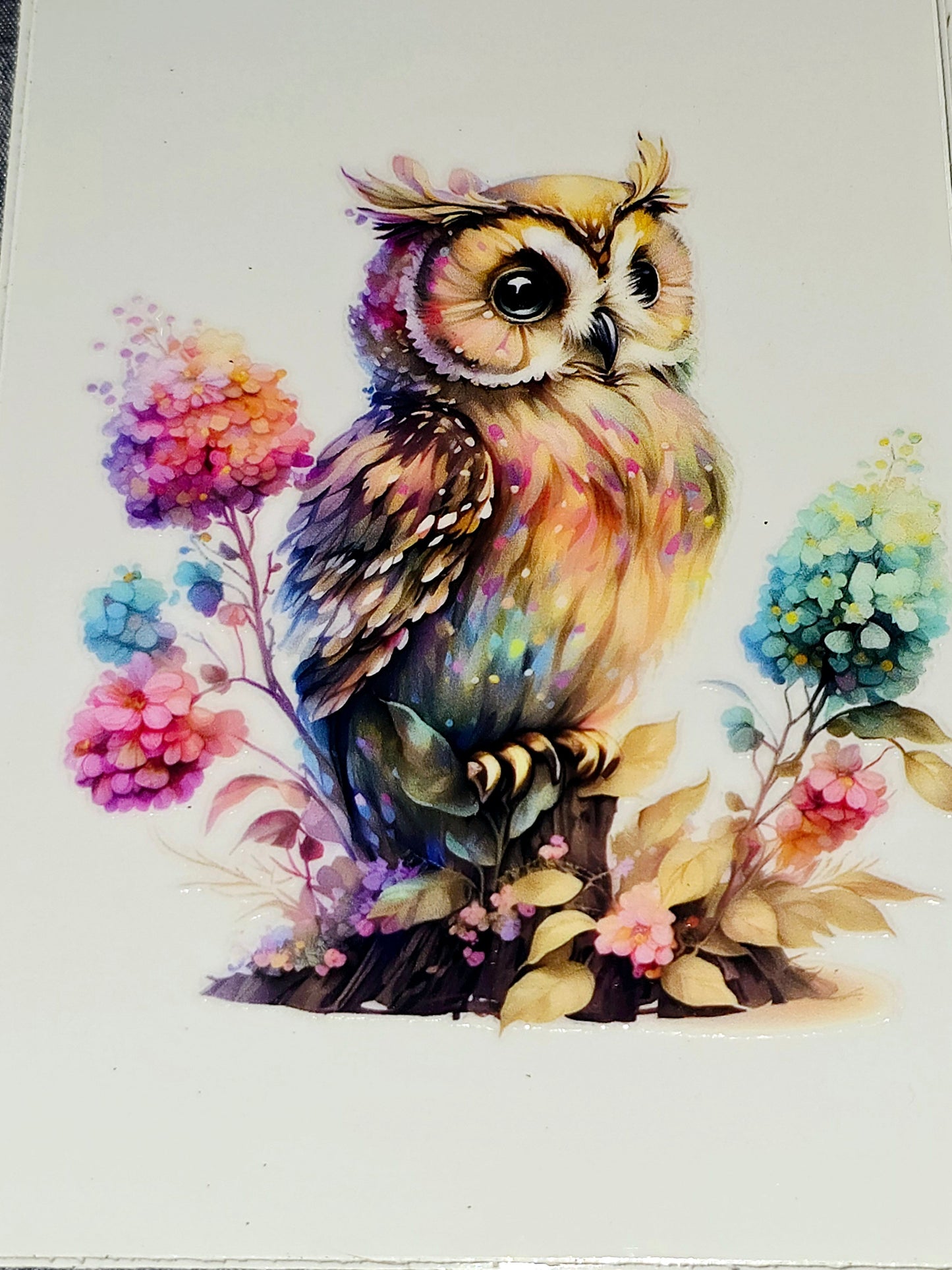 Owls medium clear UV DTF