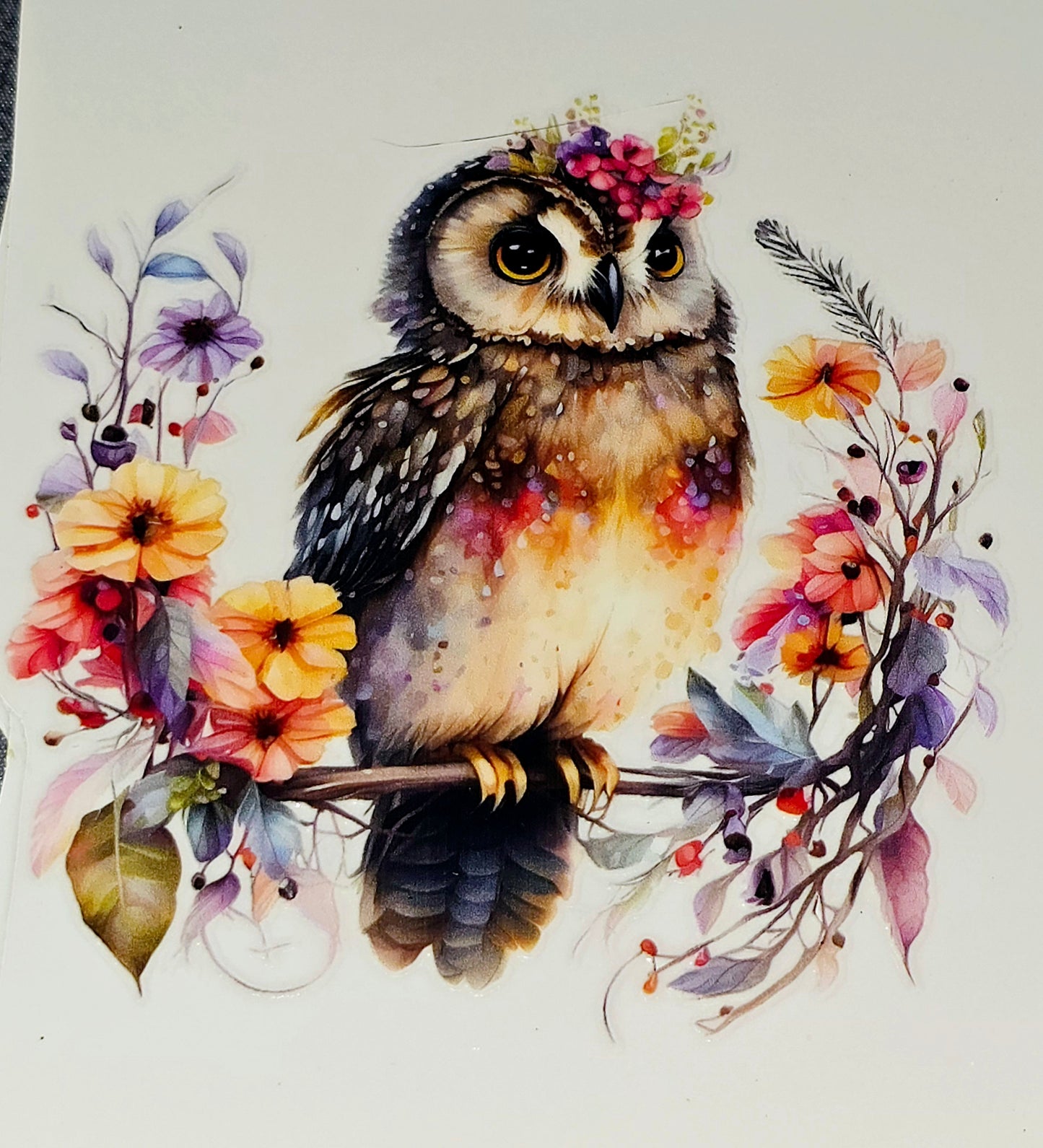 Owls medium clear UV DTF