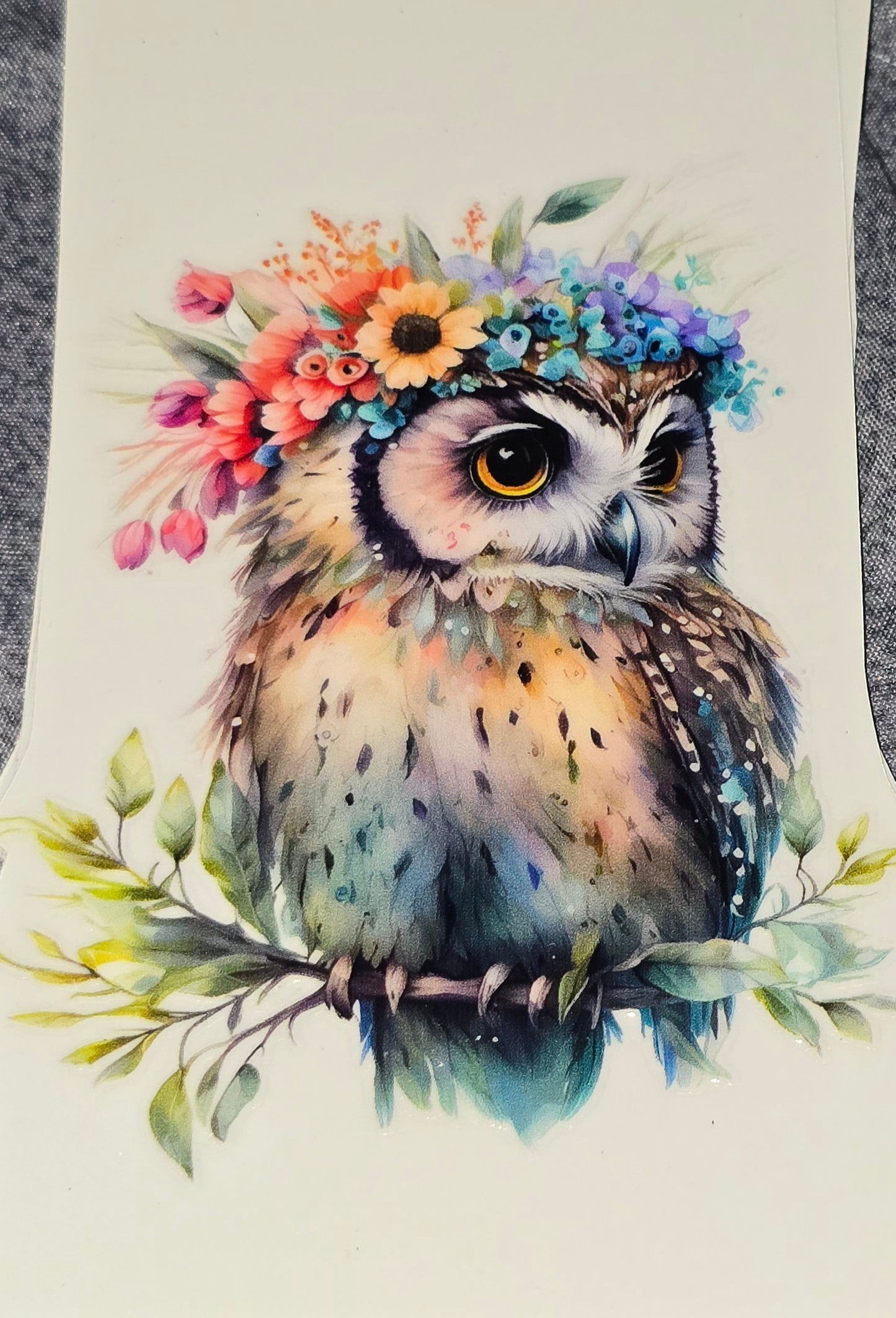 Owls medium clear UV DTF