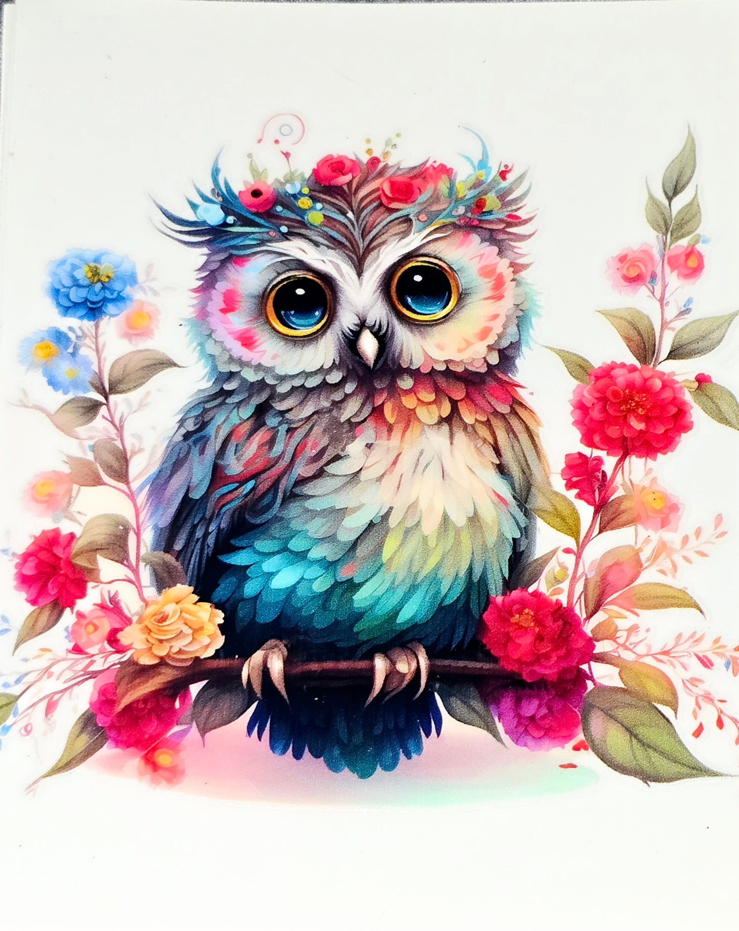 Owls medium clear UV DTF