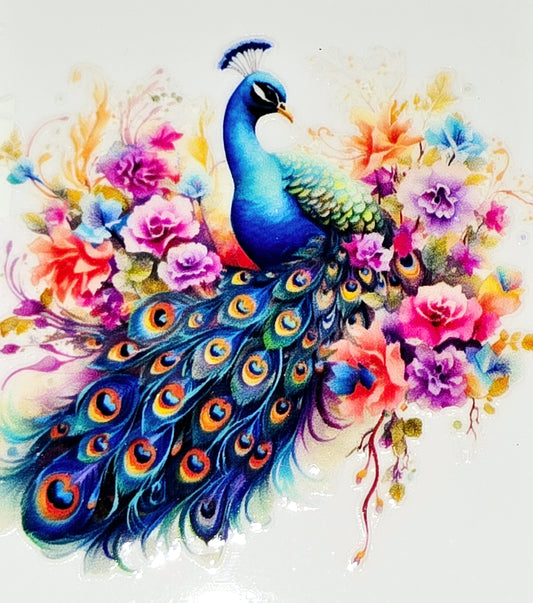 Peacock clear UV DTF