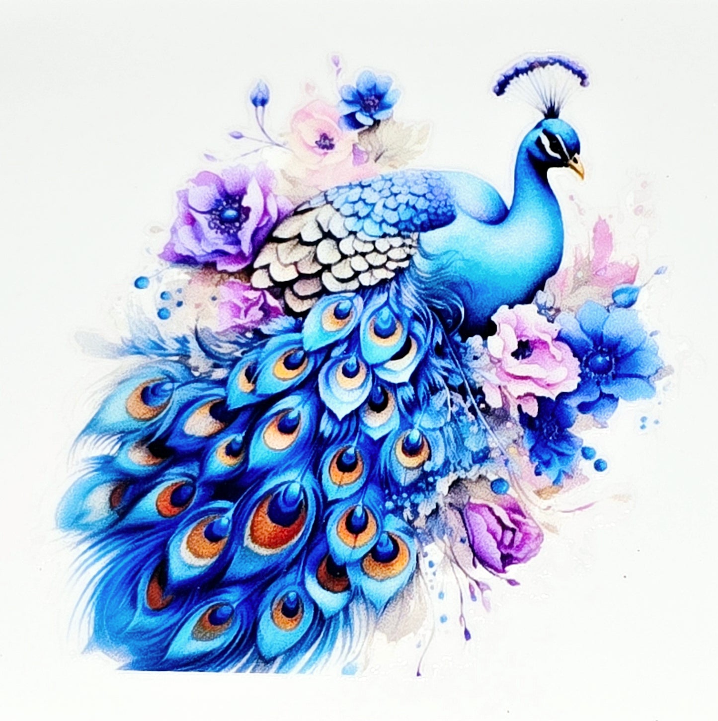 Peacock clear UV DTF