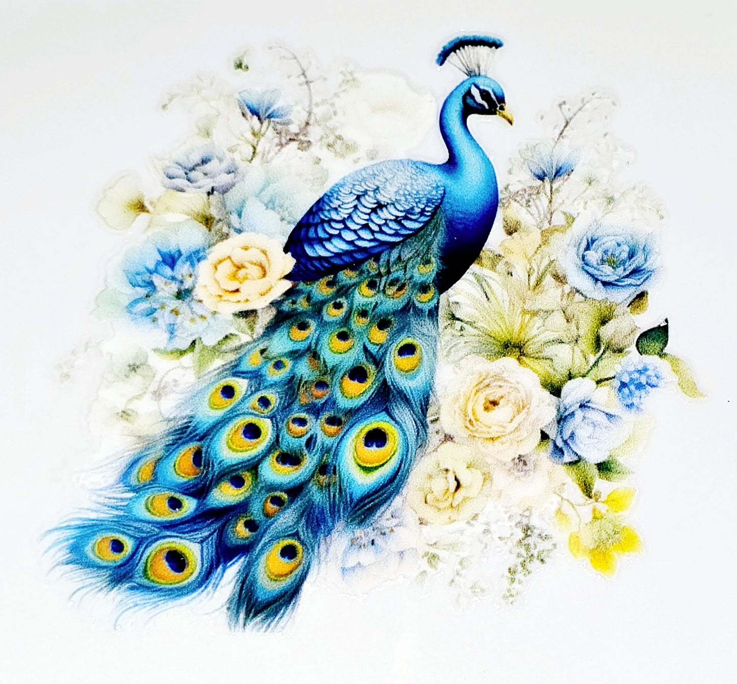 Peacock clear UV DTF