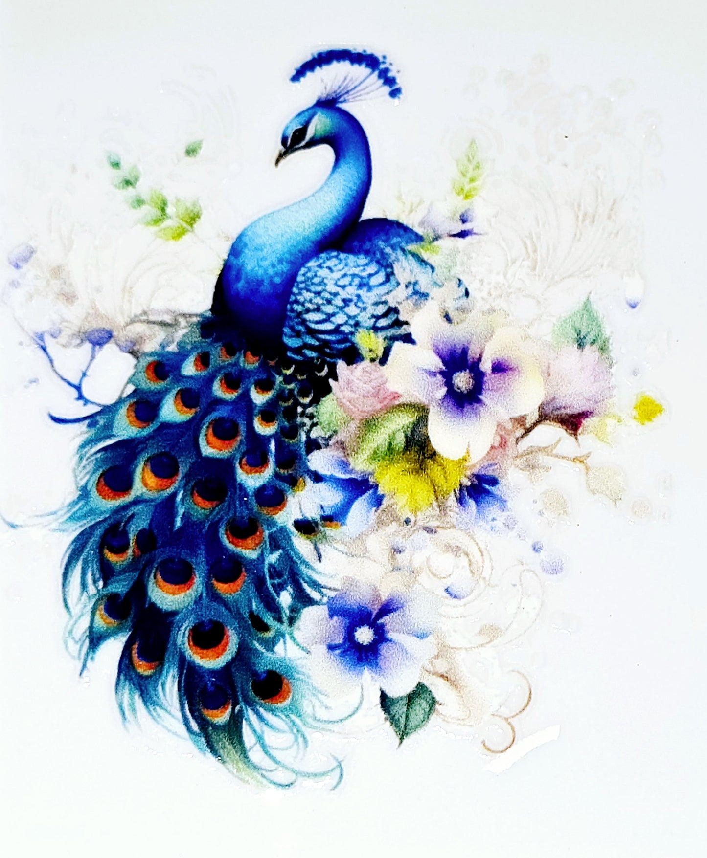 Peacock clear UV DTF