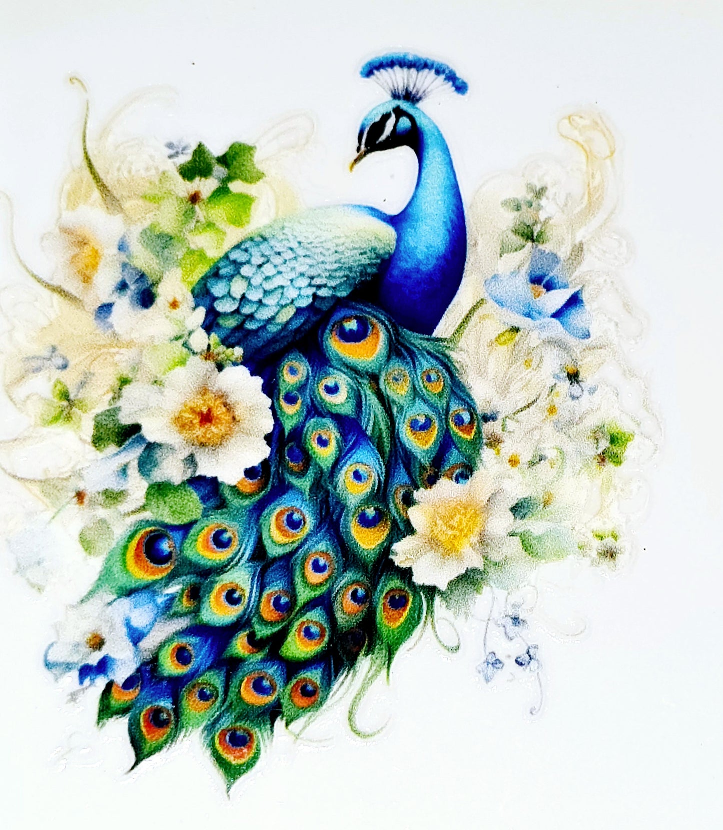 Peacock clear UV DTF