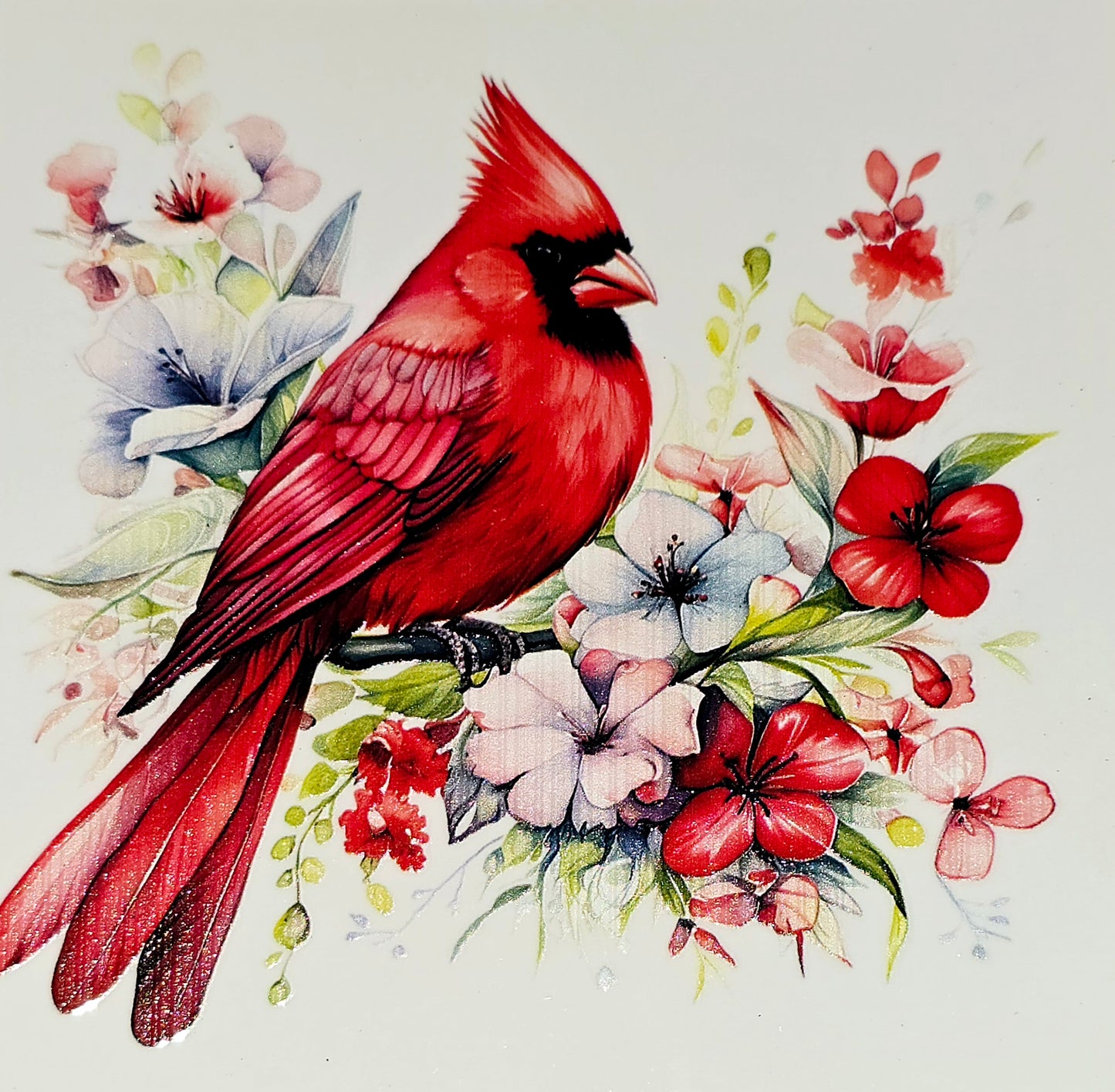 Cardinals clear UV DTF