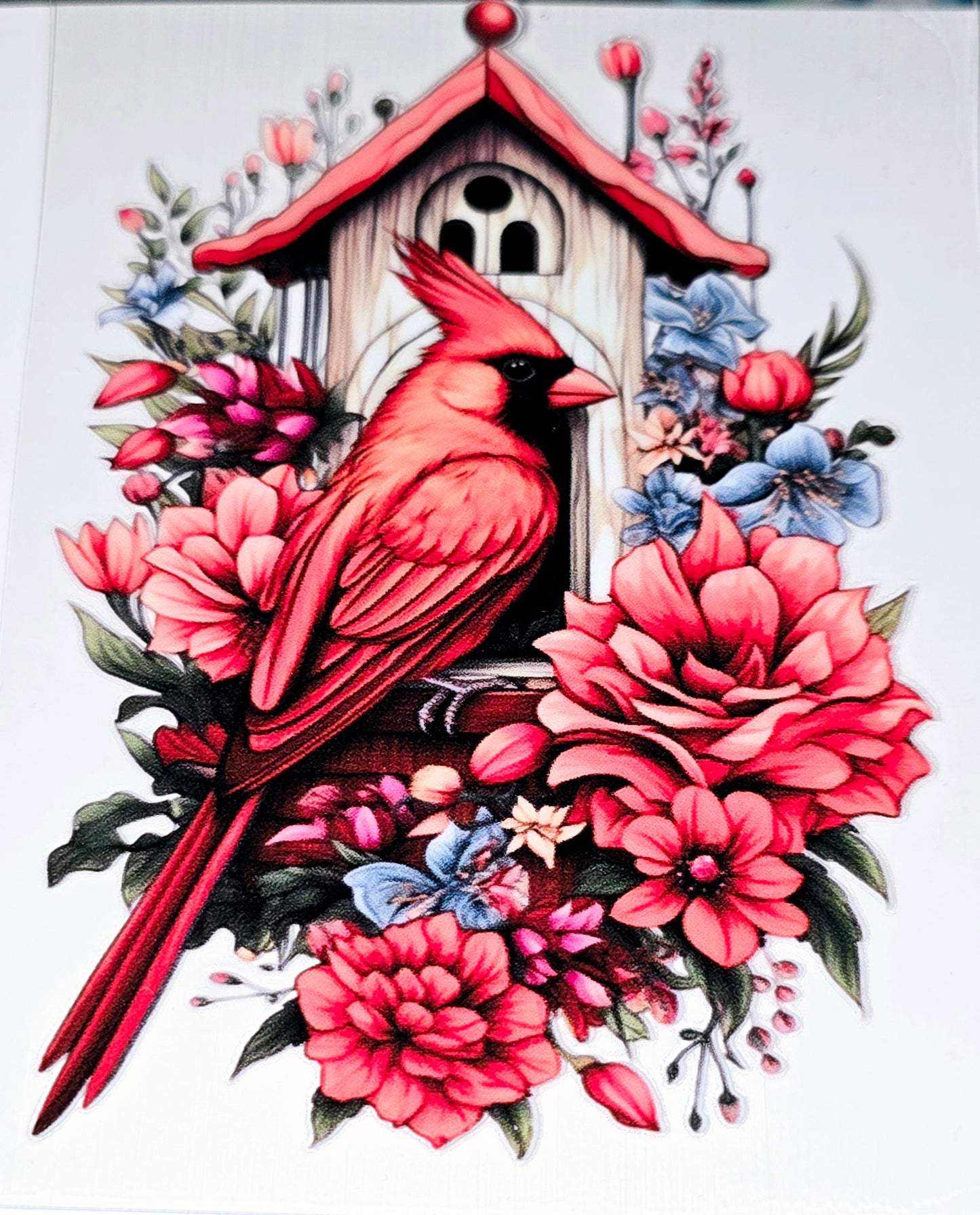 Cardinal beauty large clear UVDTF