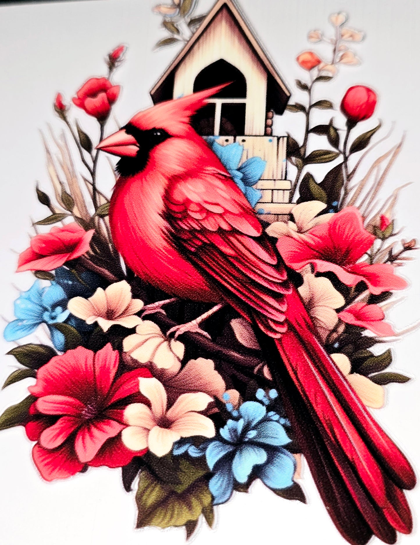 Cardinal beauty large clear UVDTF