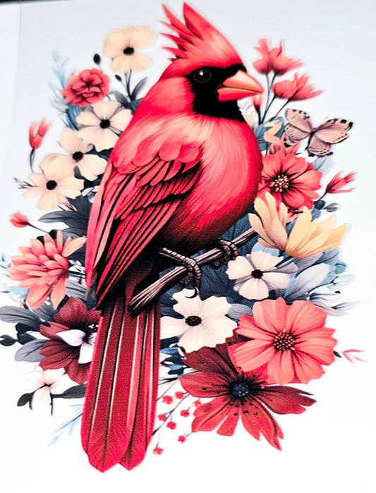 Cardinal beauty large clear UVDTF