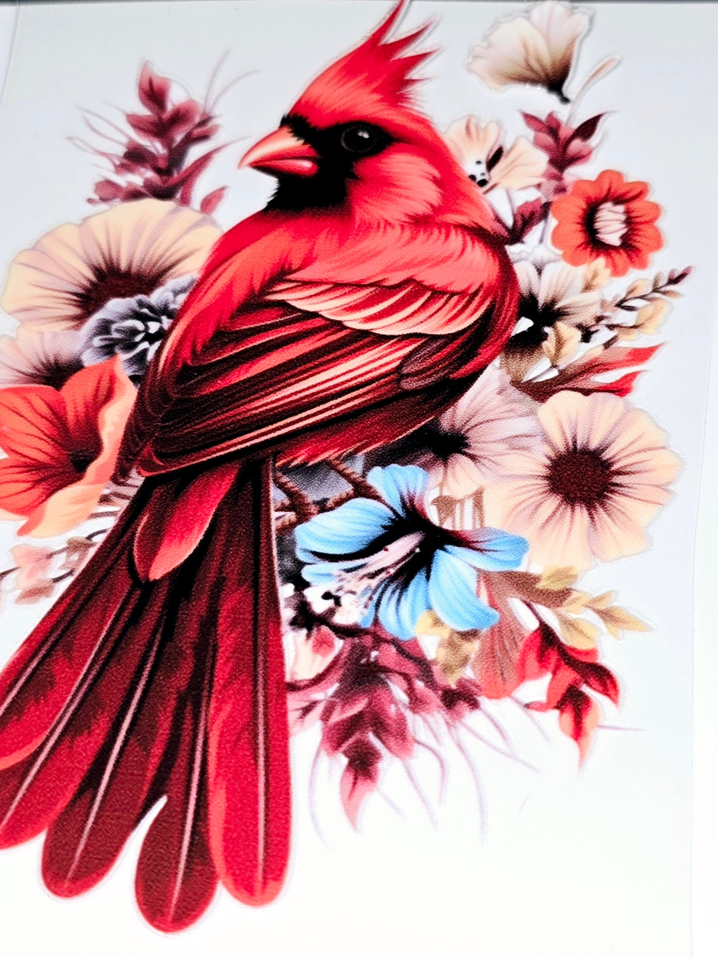 Cardinal beauty large clear UVDTF