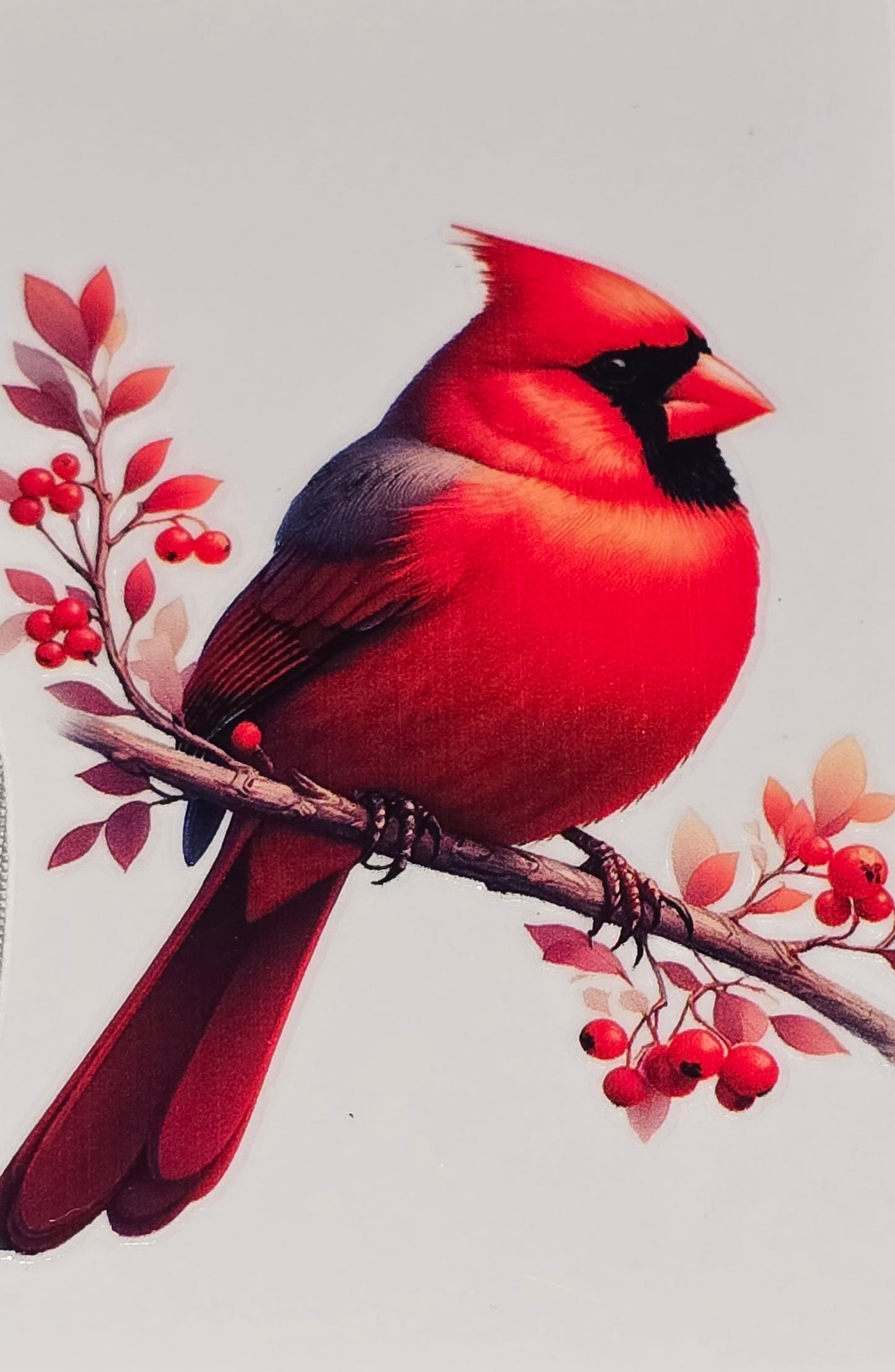 Christmas Cardinals clear medium UV DTF