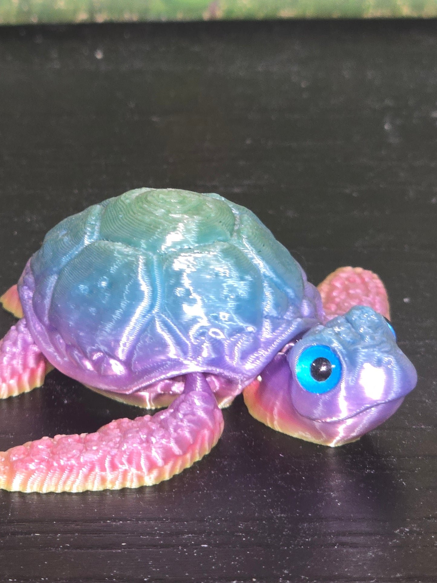 Rainbow small turtle