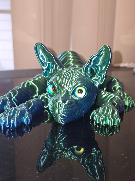 Large blue/green sphynx cat