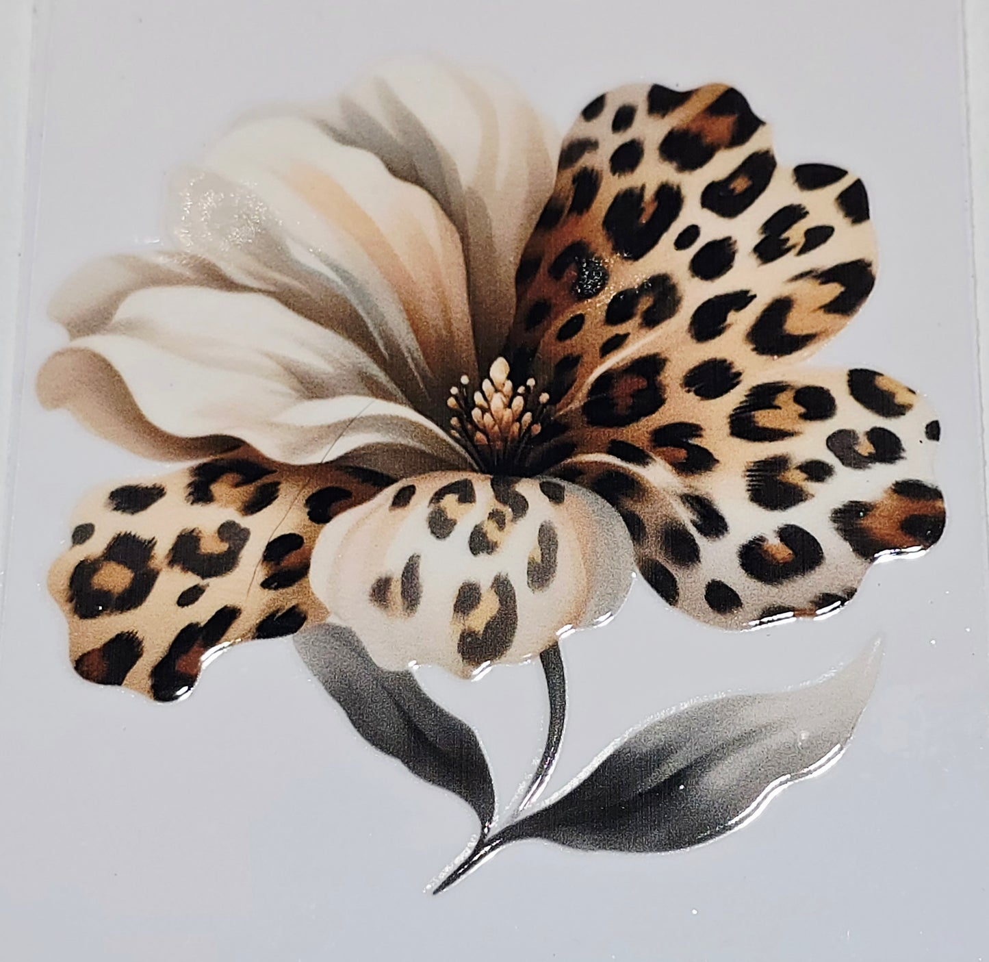 M36, XL3 leopard floral uvdtfs