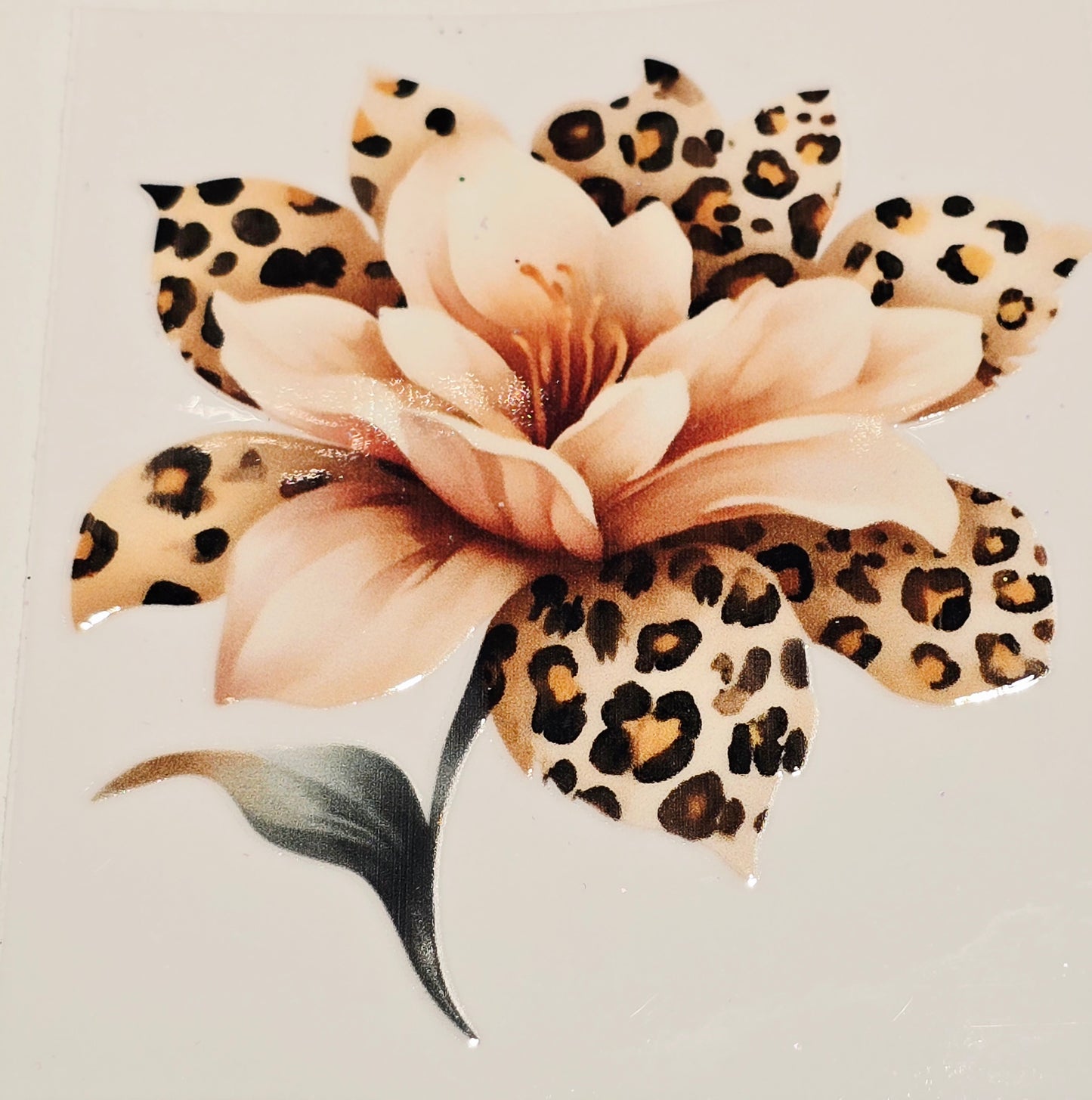 M36, XL3 leopard floral uvdtfs