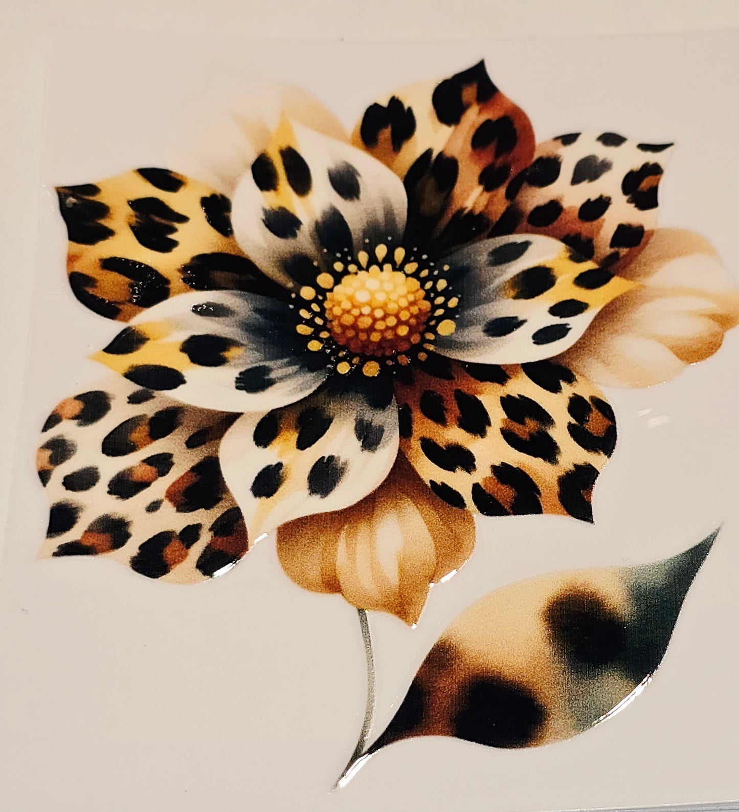 M36, XL3 leopard floral uvdtfs
