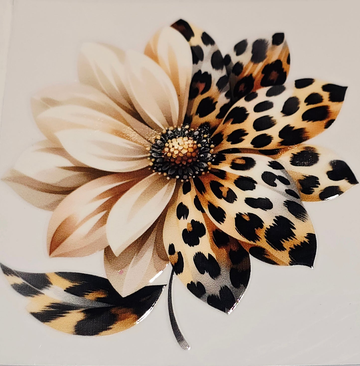 M36, XL3 leopard floral uvdtfs