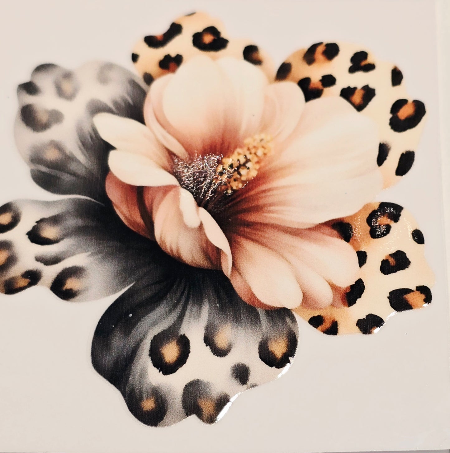 M36, XL3 leopard floral uvdtfs