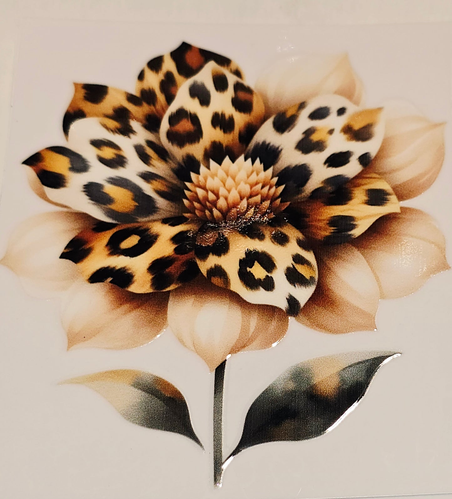 M36, XL3 leopard floral uvdtfs
