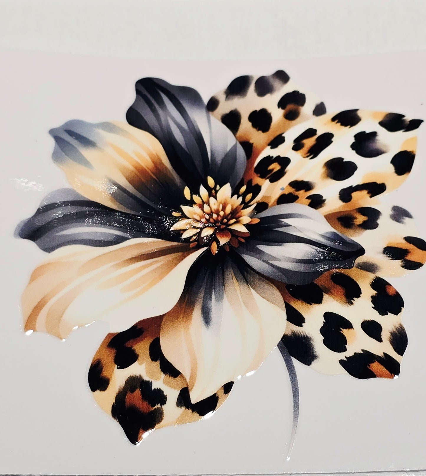 M36, XL3 leopard floral uvdtfs