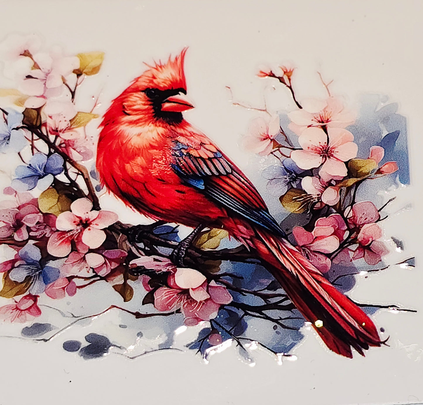 M29 medium Cardinals uvdtf