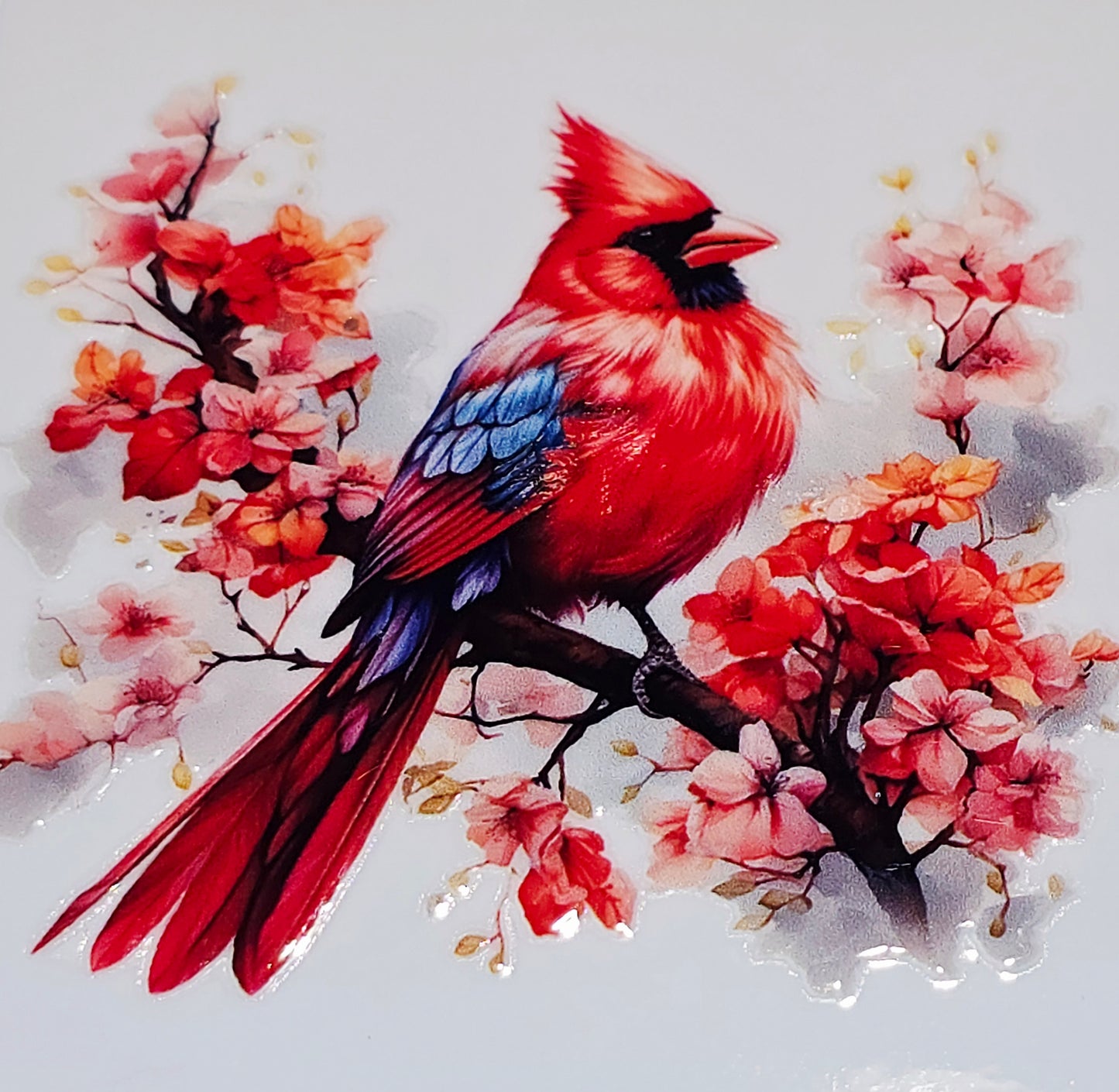M29 medium Cardinals uvdtf